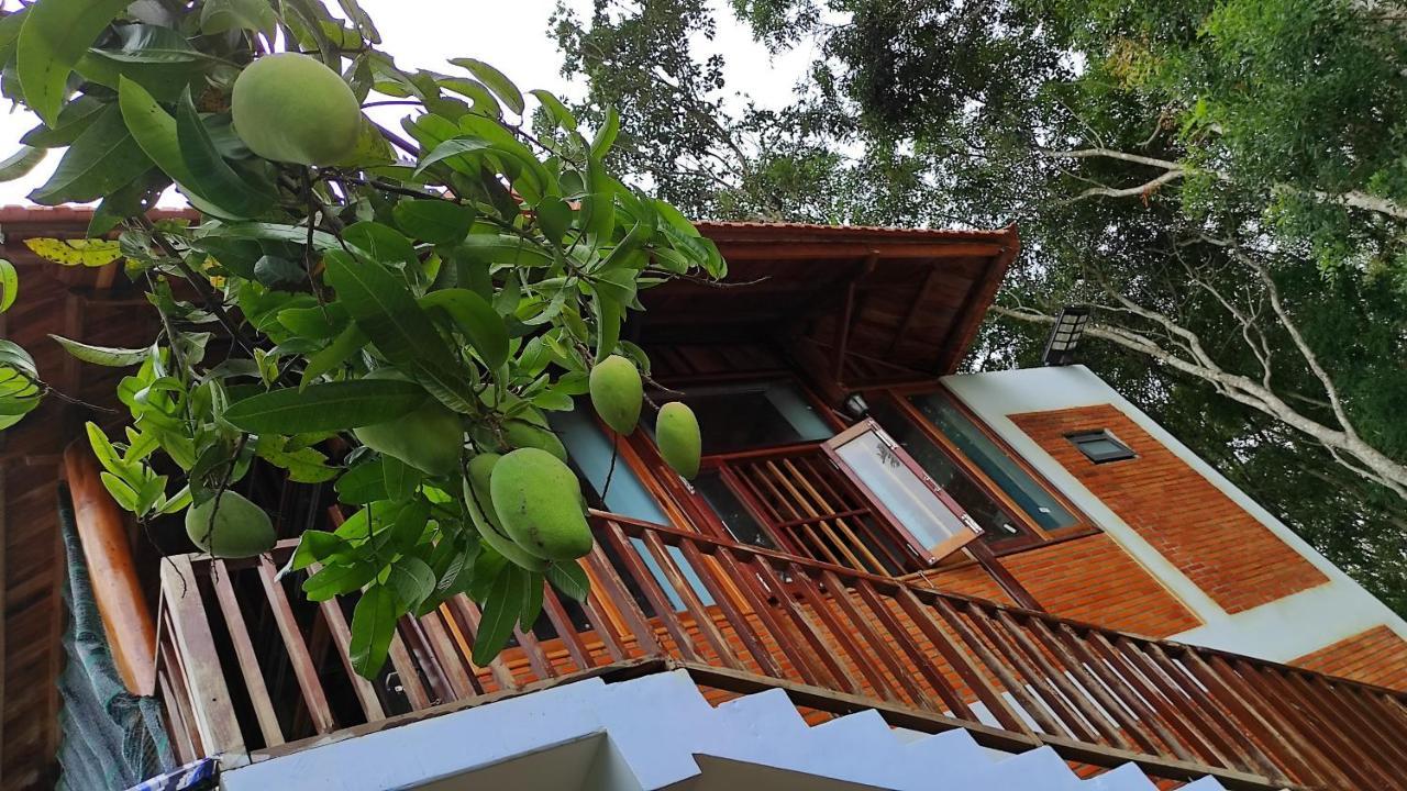 Homestay Dat Viet Cat Tien Exterior foto